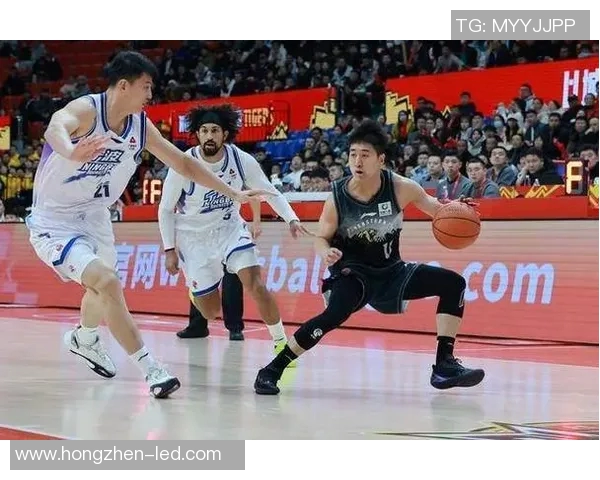 明星们齐聚观看中国篮球直播视频热潮引发球迷热议